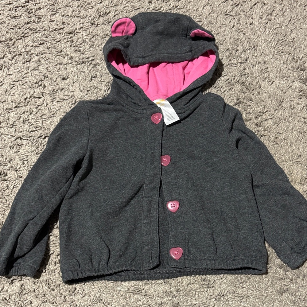 Gymboree Gray Hoodie with Pink Interior - Picture 1 of 3